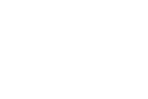 VMZ